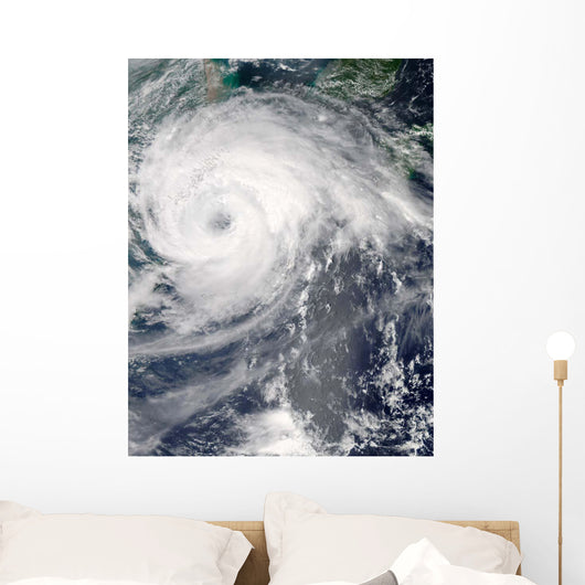 Typhoon Haikui Wall Decal