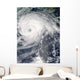 Typhoon Haikui Wall Decal