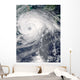 Typhoon Haikui Wall Decal