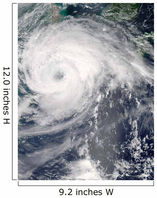 Typhoon Haikui Wall Decal