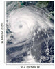 Typhoon Haikui Wall Decal