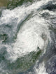 Typhoon Haikui Makes Landfall Wall Decal