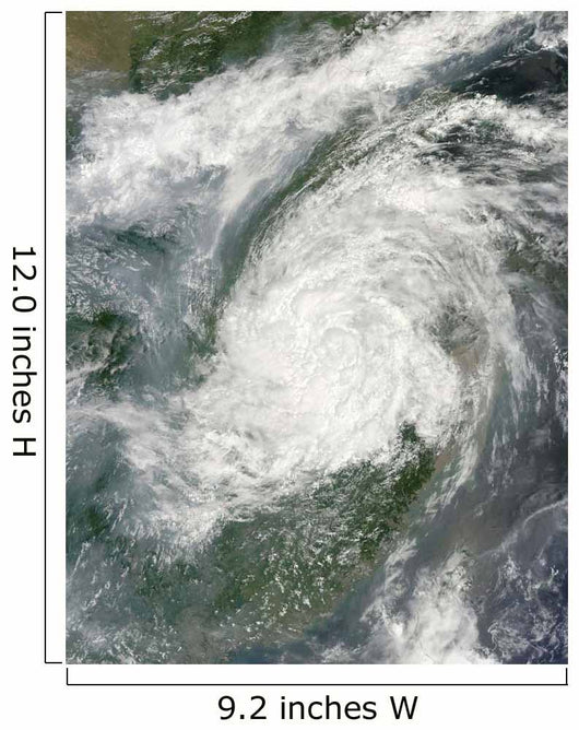 Typhoon Haikui Makes Landfall Wall Decal