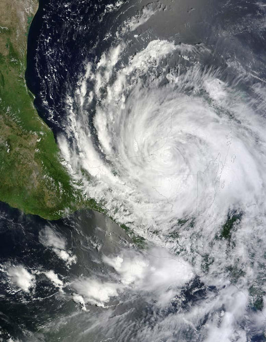 Hurricane Ernesto Wall Decal