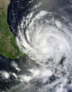 Hurricane Ernesto Wall Decal