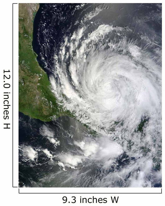 Hurricane Ernesto Wall Decal