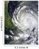 Hurricane Ernesto Wall Decal