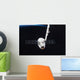 Spacex Dragon Cargo Craft Wall Decal Design 5