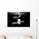 Spacex Dragon Cargo Craft Wall Decal Design 4