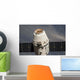 Spacex Dragon Commercial Cargo Wall Decal