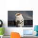 Spacex Dragon Commercial Cargo Wall Decal