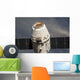 Spacex Dragon Commercial Cargo Wall Decal