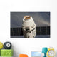 Spacex Dragon Commercial Cargo Wall Decal
