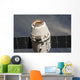 Spacex Dragon Commercial Cargo Wall Decal