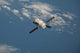 Automated Transfer Vehicle-3 Resupply Wall Decal