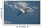 Automated Transfer Vehicle-3 Resupply Wall Decal