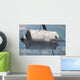Edoardo Amaldi Automated Transfer Wall Decal
