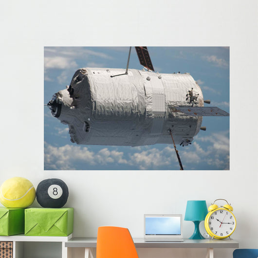 Edoardo Amaldi Automated Transfer Wall Decal