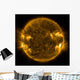 Solar Activity Sun Wall Decal