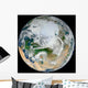 Synthesized Earth Showing Arctic Wall Decal