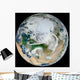 Synthesized Earth Showing Arctic Wall Decal