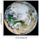 Synthesized Earth Showing Arctic Wall Decal