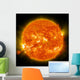 Magnificent Coronal Mass Ejection Wall Decal
