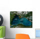 Phytoplankton Bloom Black Sea Wall Decal