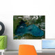 Phytoplankton Bloom Black Sea Wall Decal
