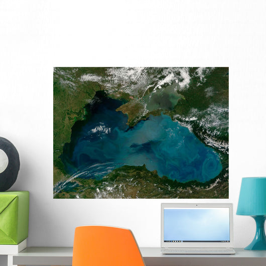 Phytoplankton Bloom Black Sea Wall Decal