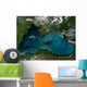 Phytoplankton Bloom Black Sea Wall Decal