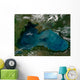 Phytoplankton Bloom Black Sea Wall Decal