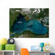 Phytoplankton Bloom Black Sea Wall Decal