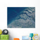 Satellite Belgium Coastline Wall Decal