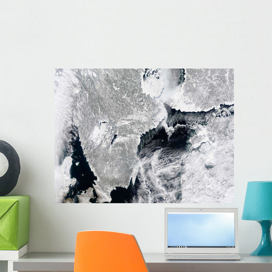 Sea Ice Lines Coasts Wall Decal