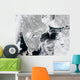 Sea Ice Lines Coasts Wall Decal