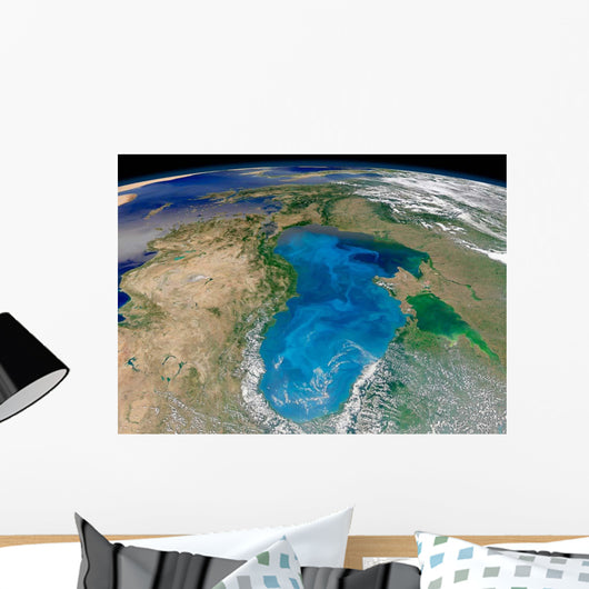 Satellite Swirling Blue Phytoplankton Wall Decal