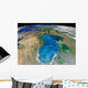 Satellite Swirling Blue Phytoplankton Wall Decal