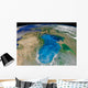 Satellite Swirling Blue Phytoplankton Wall Decal