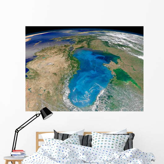 Satellite Swirling Blue Phytoplankton Wall Decal