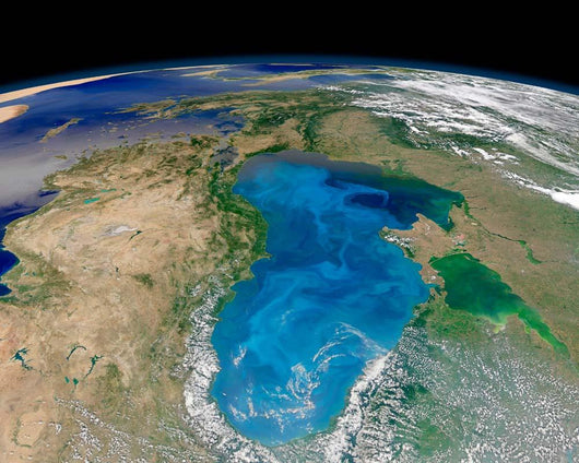 Satellite Swirling Blue Phytoplankton Wall Decal