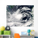 Typhoon Gaemi over South Wall Decal