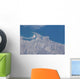 From Space San Diego Wall Decal