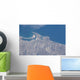 From Space San Diego Wall Decal