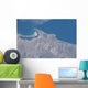 From Space San Diego Wall Decal