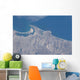 From Space San Diego Wall Decal