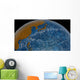 This Visualization Shows Ocean Wall Decal