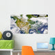 Satellite North America with Wall Decal