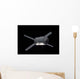 Edoardo Amaldi Automated Transfer Wall Decal Design 2