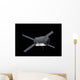 Edoardo Amaldi Automated Transfer Wall Decal Design 2